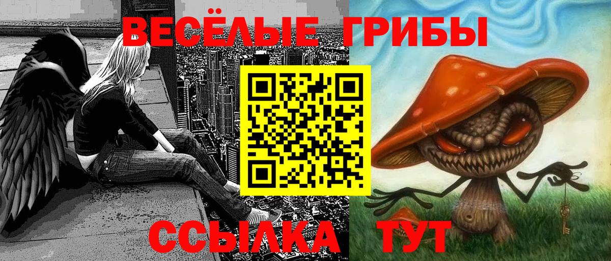 Псилоцибиновые грибы Cubensis  Вход с VPN  Феодосия  Псилоцибиновые грибы Cubensis 